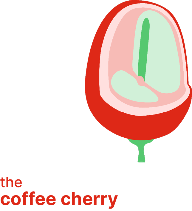 coffee-cherry