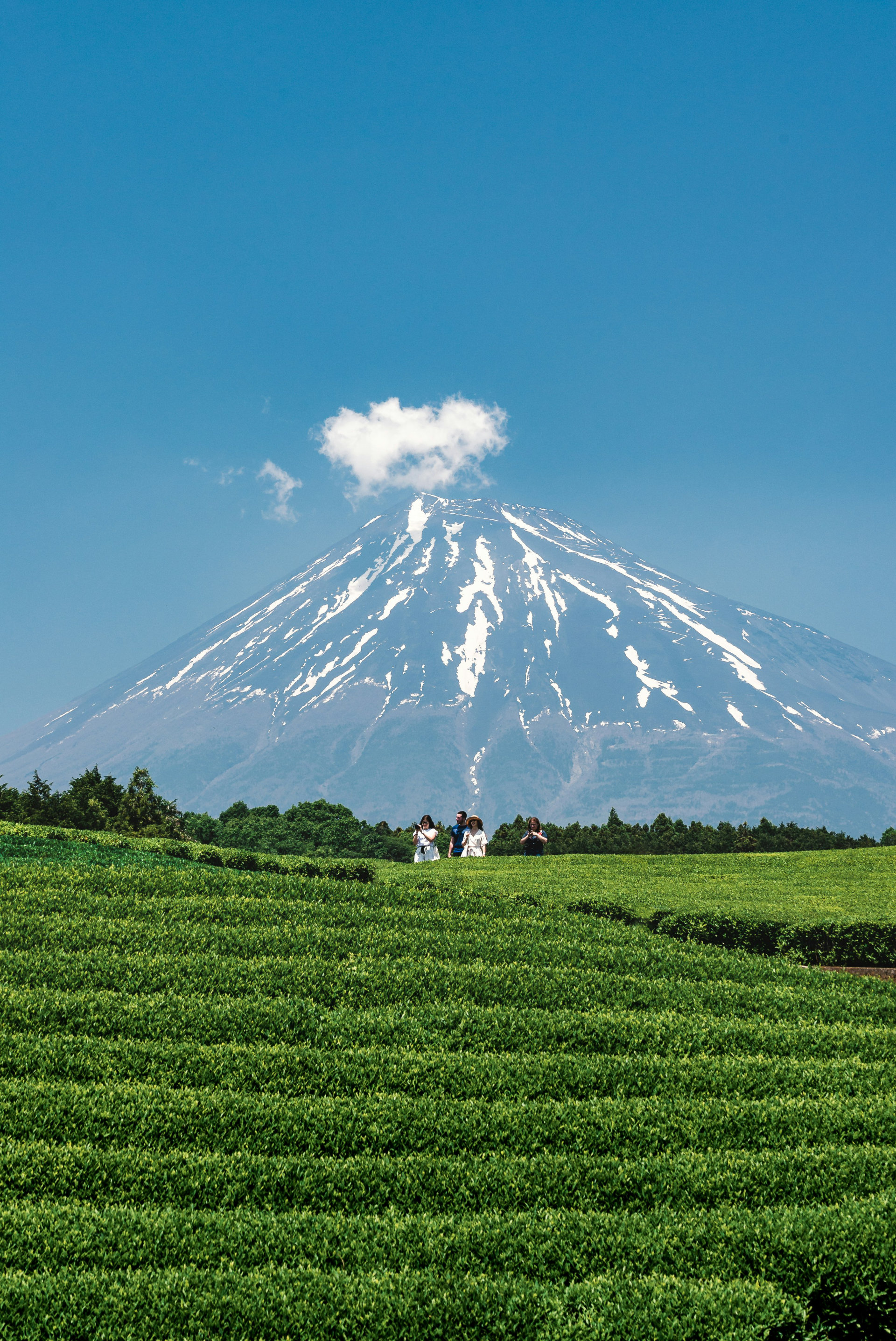 mount-fuji